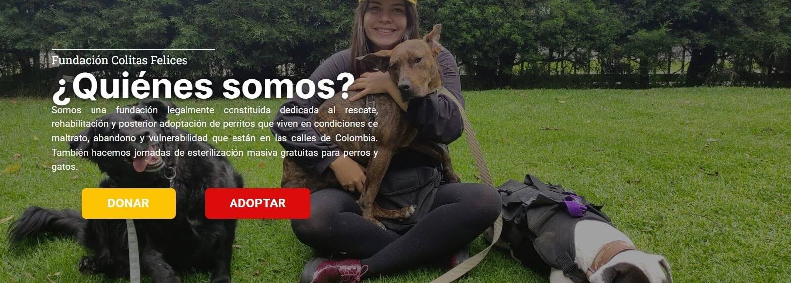 Colitas felices fundación de rescate de perros abandonados