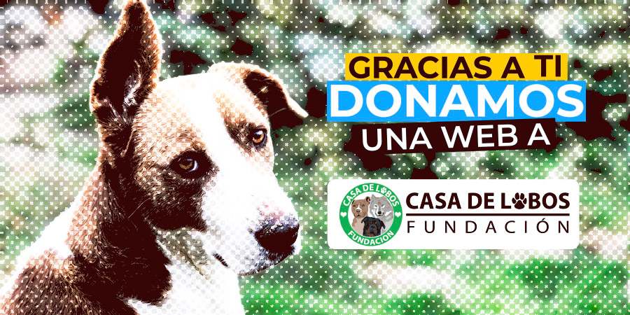 Donamos una web al refugio de perros Casa de lobos