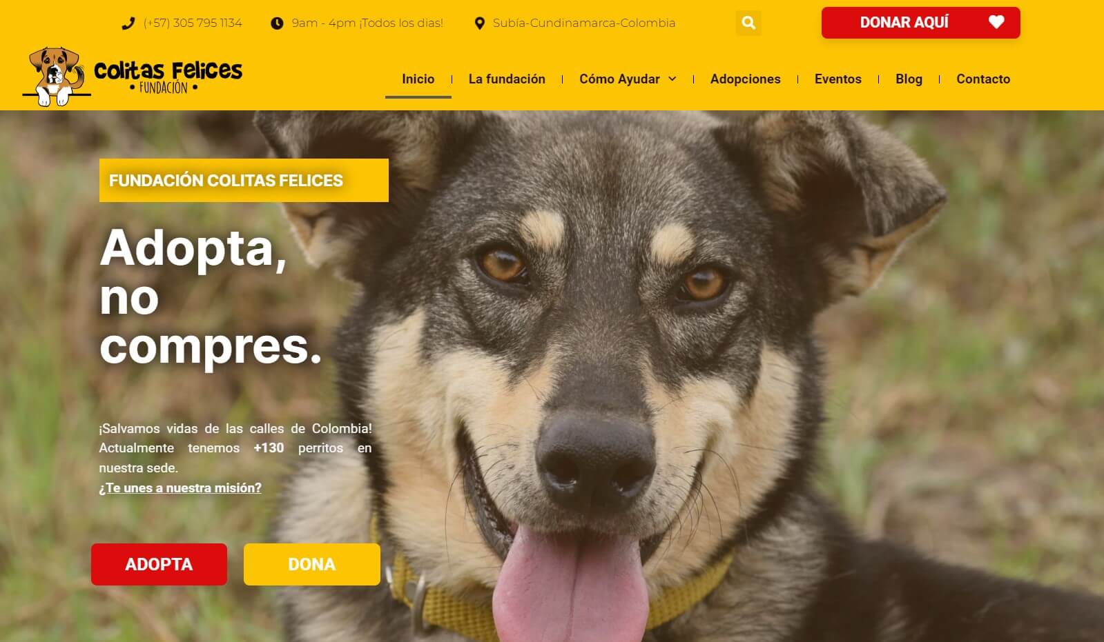 Web Colitas felices fundación de rescate de perros abandonados